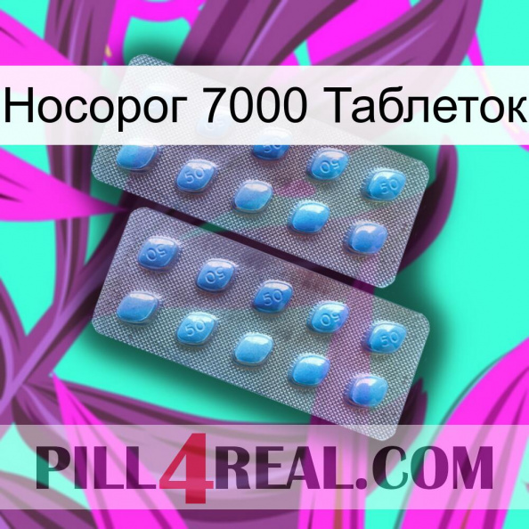 Носорог 7000 Таблеток viagra4.jpg